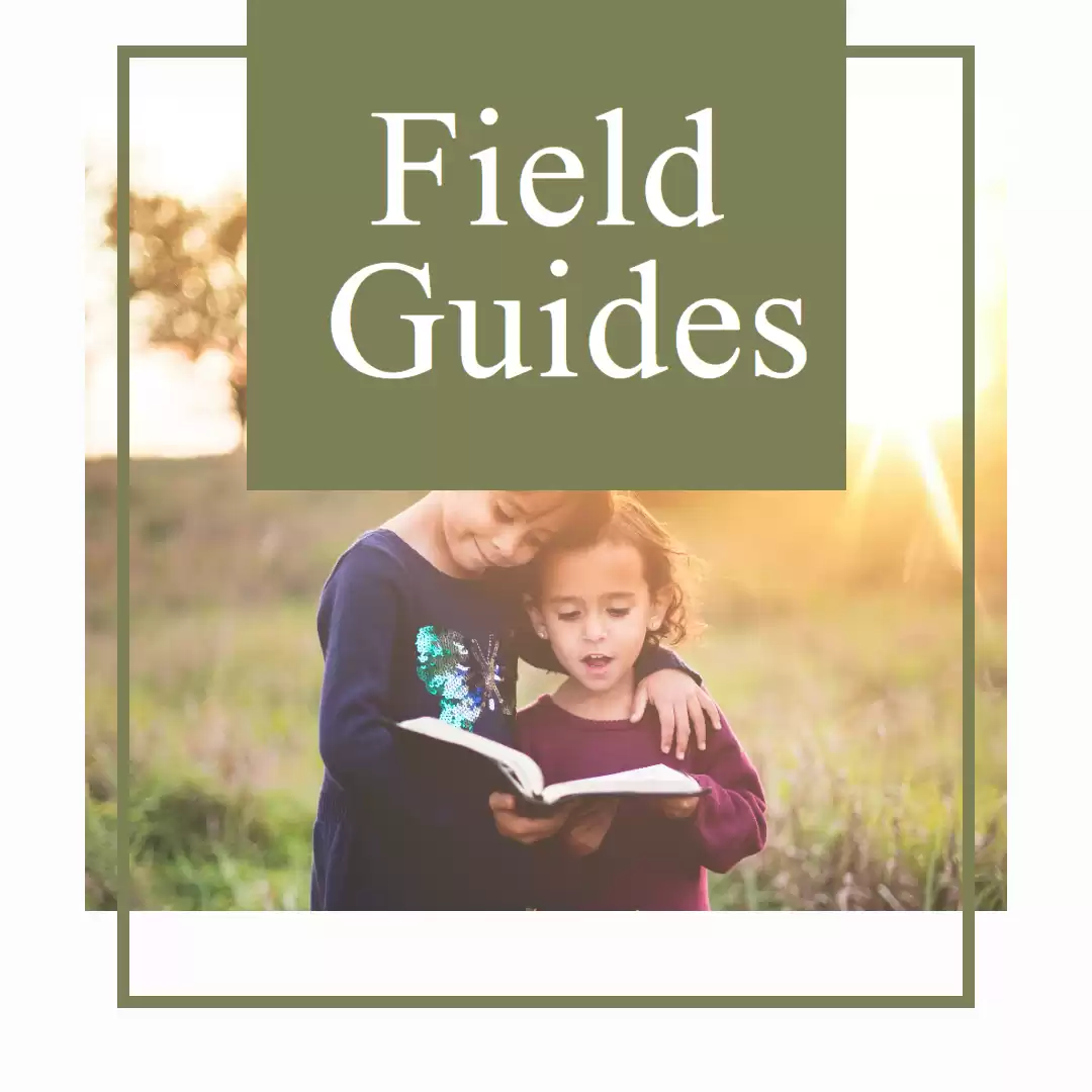 Amazon.com : Kids Field Guides