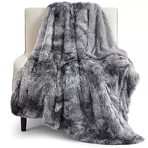 Bedsure Ultra Soft Throw Blanket- Fuzzy Sherpa Faux Fur Blanket