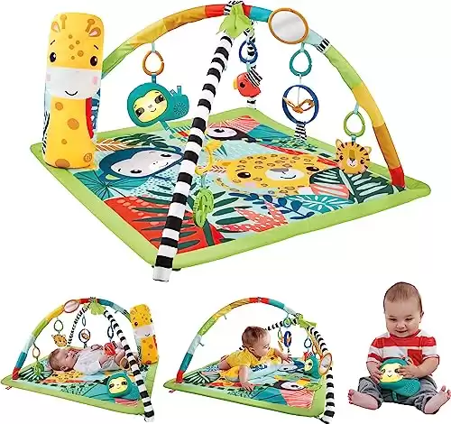 Fisher-Price Baby Newborn To Toddler Playmat 3-In-1